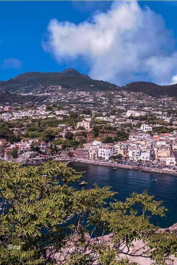 La Finestra Sul Mare Bed & Breakfast Ischia Exterior photo